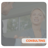 DSHO Consulting
