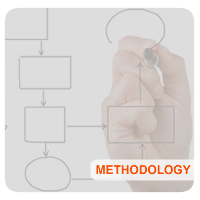 DSHO Methodology