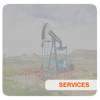 DSHO Services
